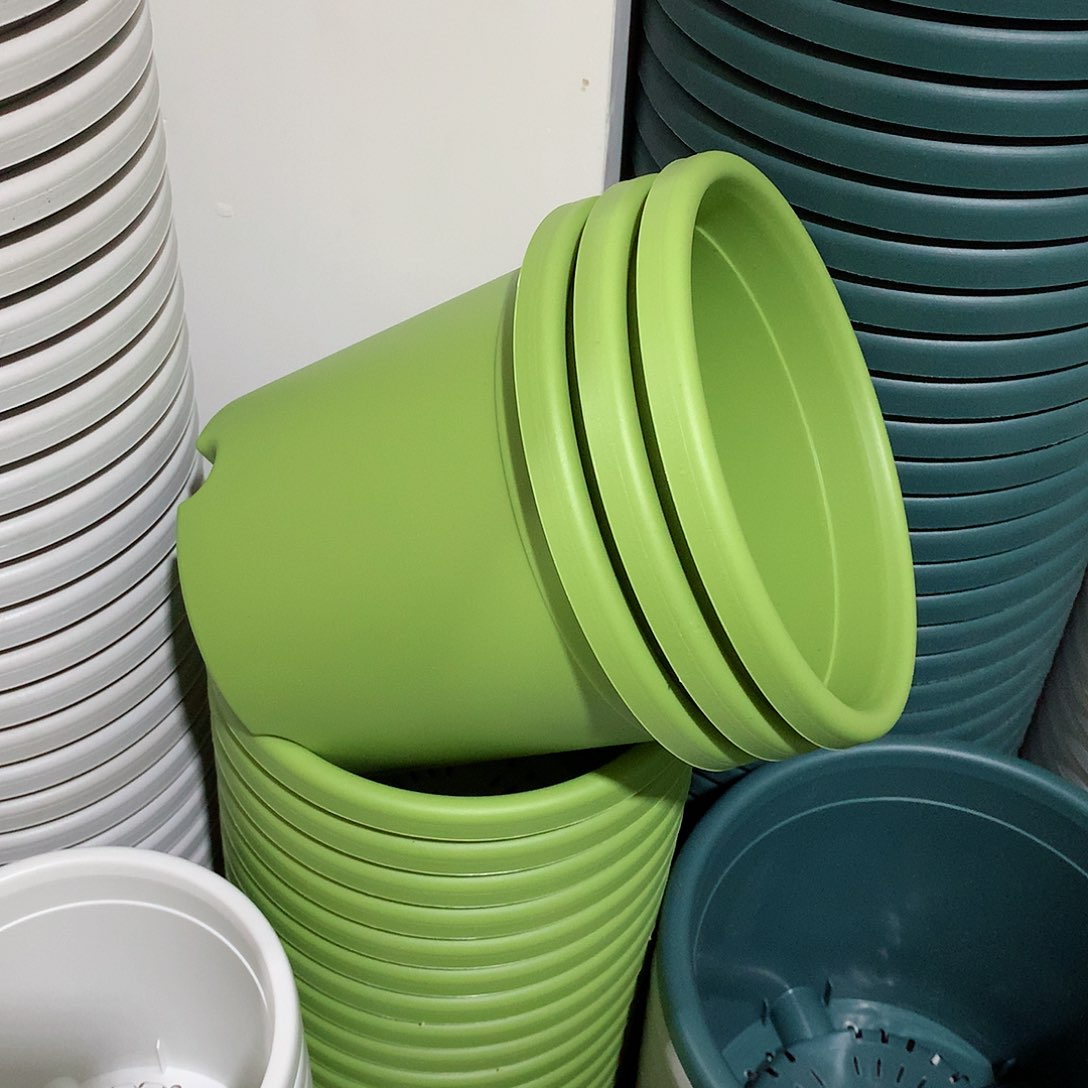 树脂四季口17果绿10个无托