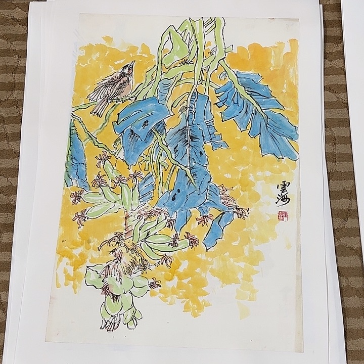 国画花鸟等多种鸟类和动物