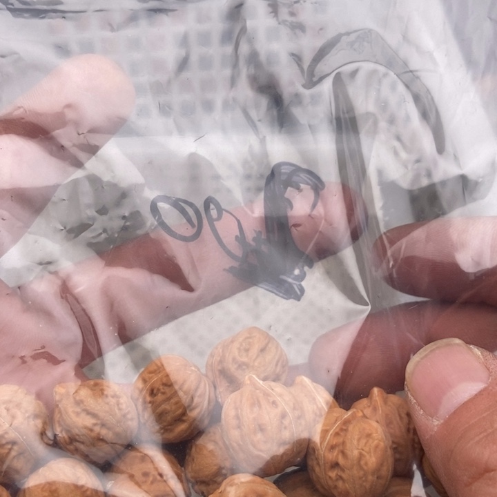 小核桃散籽22粒188包邮