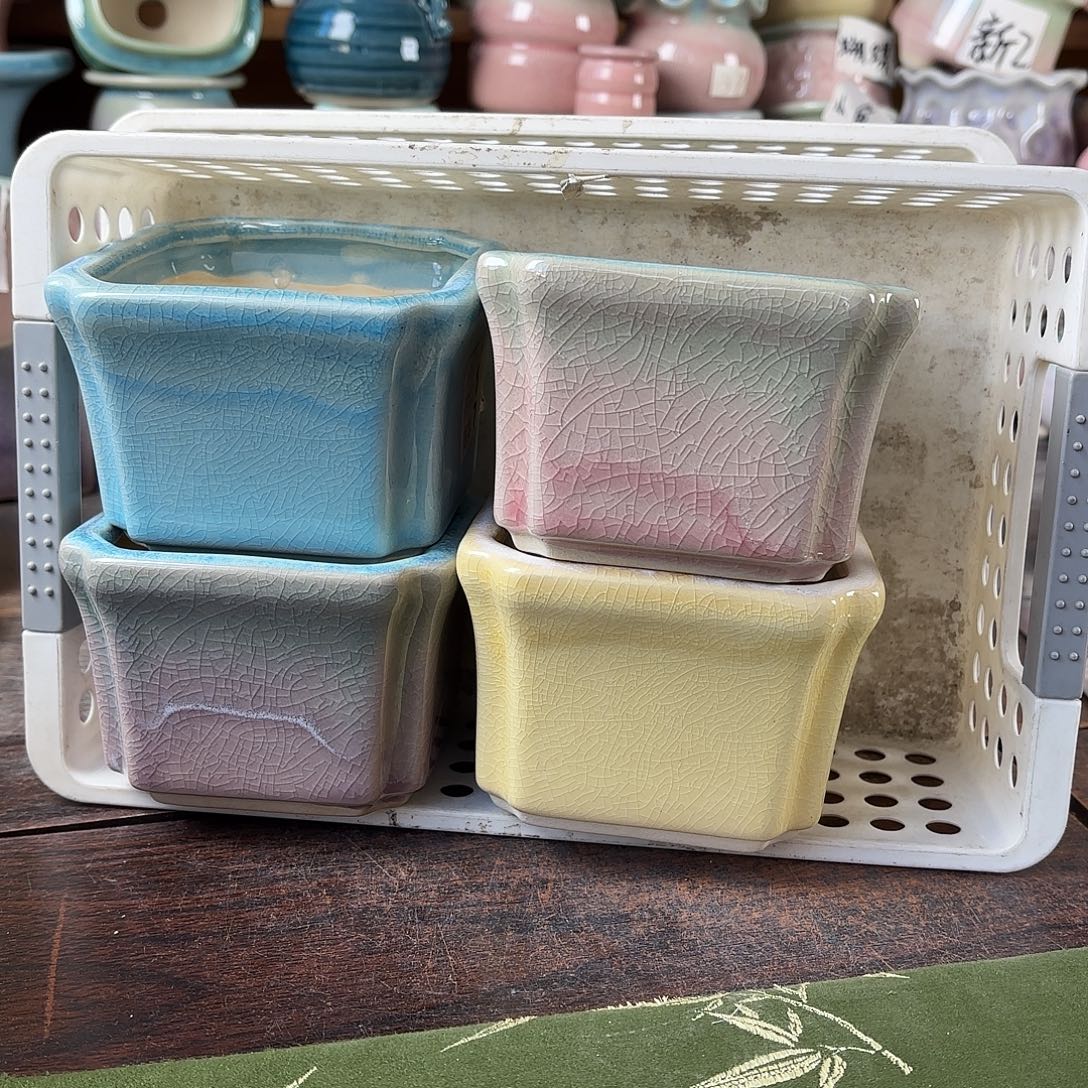 量货/口8高7深浅搭配发4