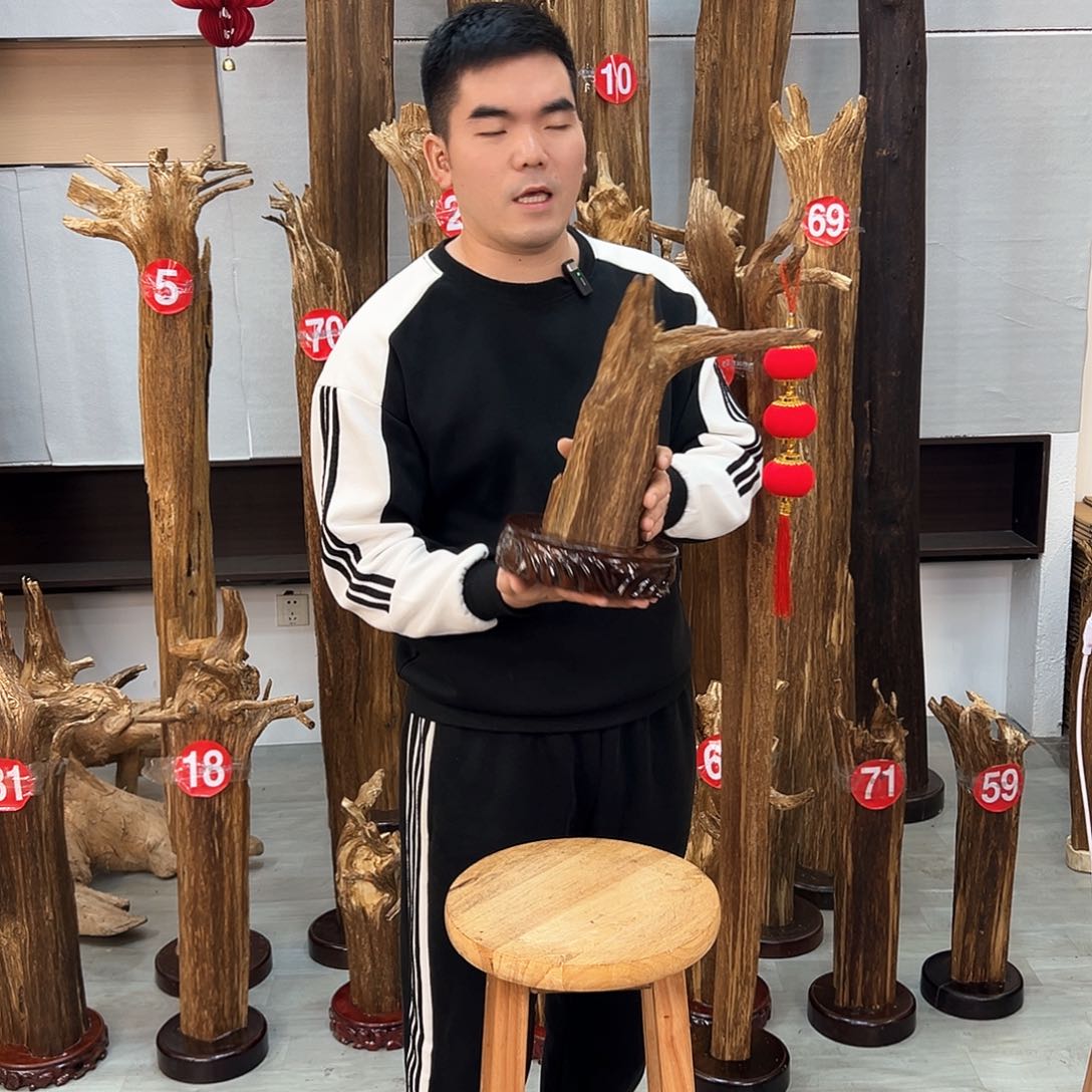 沉香摆件海南沉香摆件