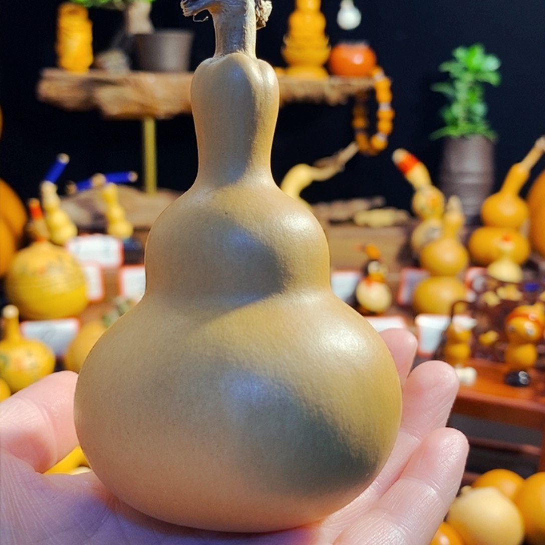 林****咕噜咕噜咕噜咕噜户