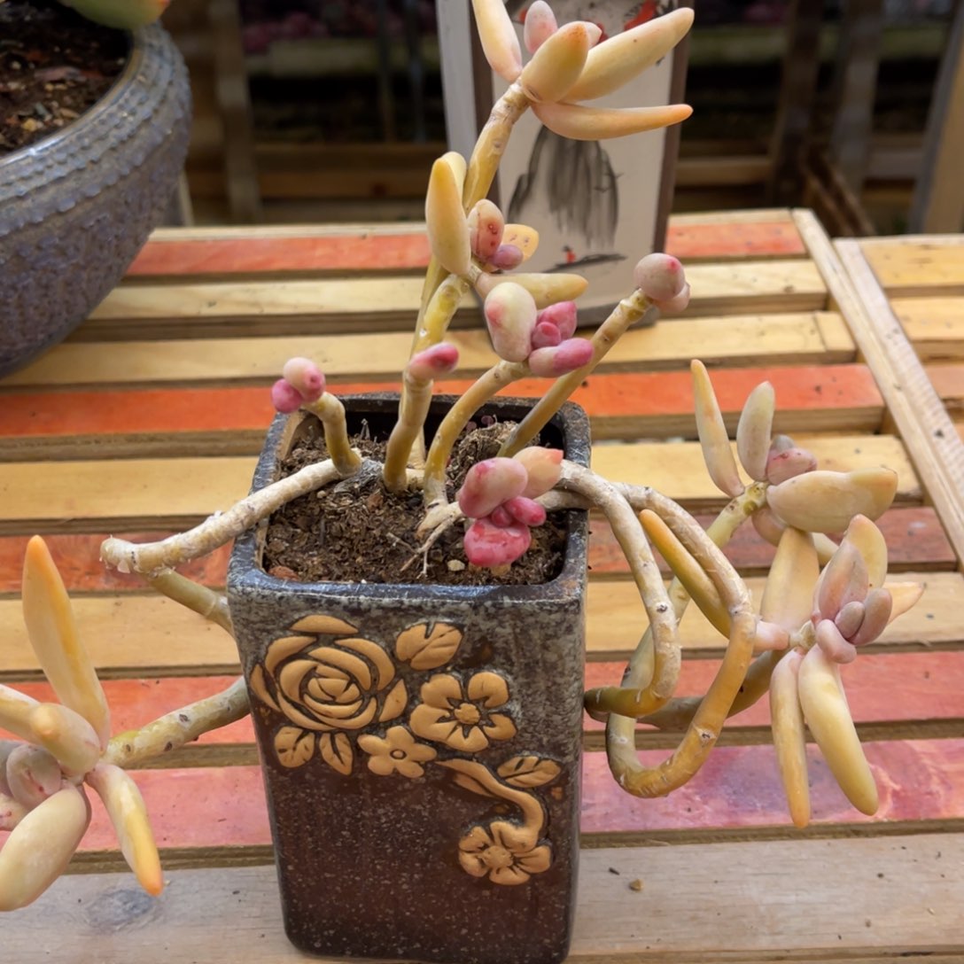 @****?3737376767686868