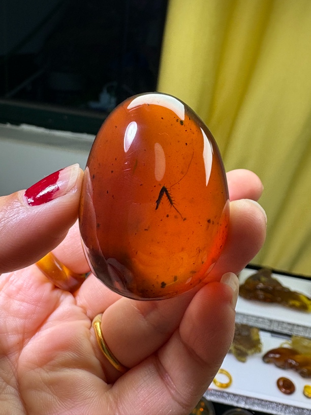 天然缅甸琥珀：金棕紫红珀：虫大腿，19.5g