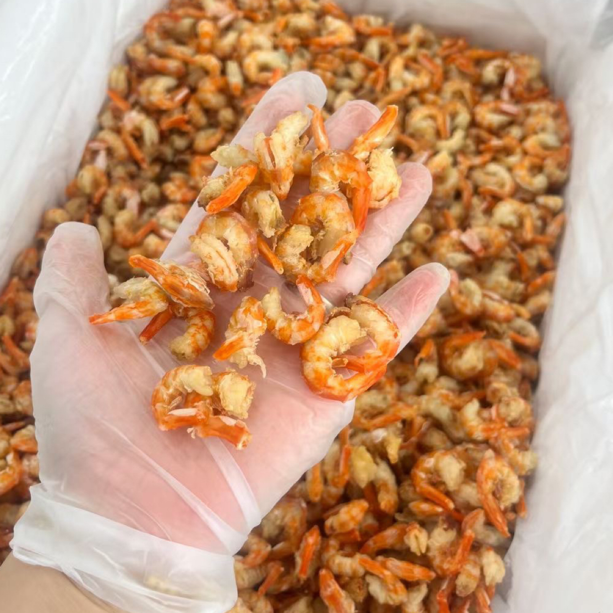 腾晴老友记 海虾米虾干 煲粉煲面炒菜焖瓜