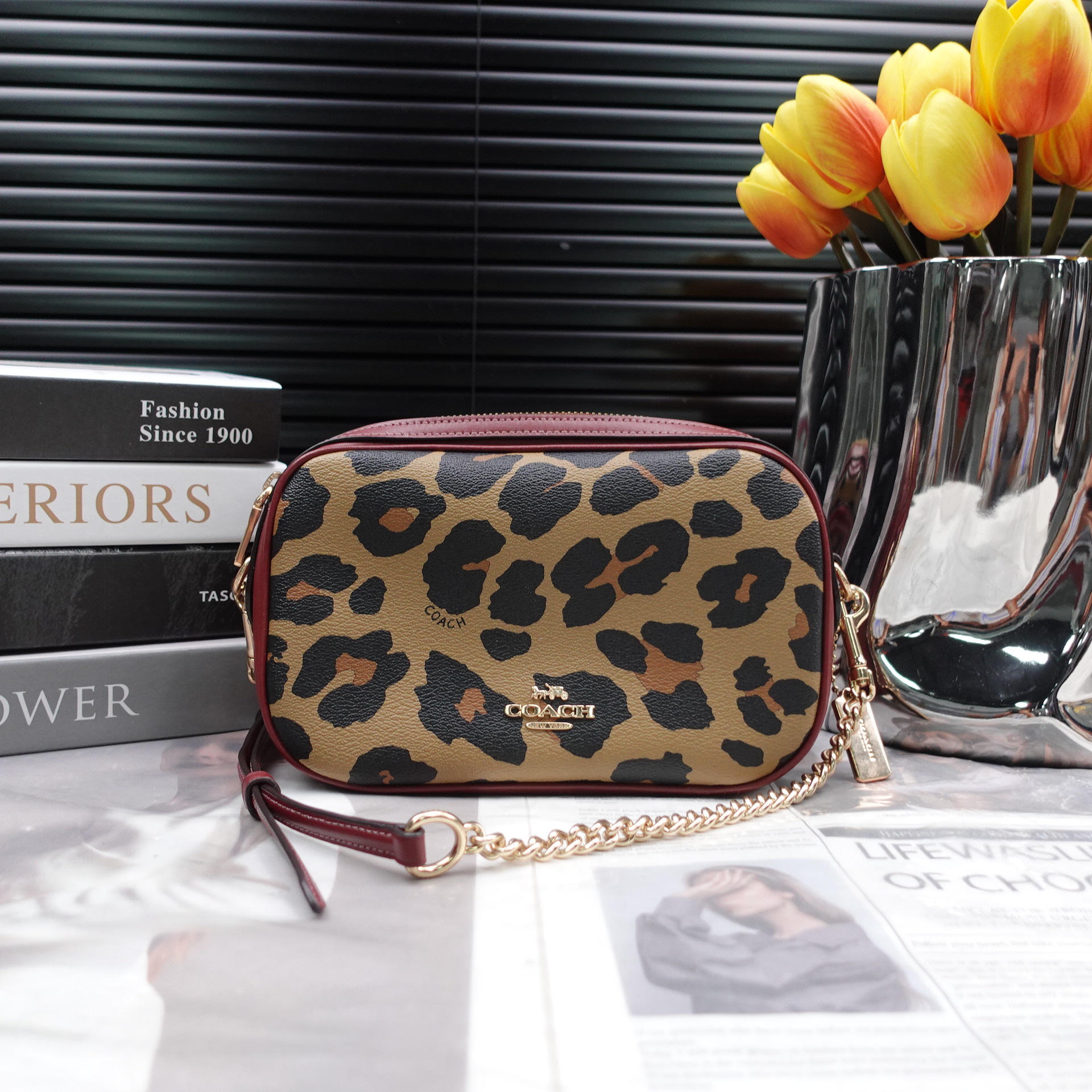 95新 COACH/蔻驰 单肩包/T10246528