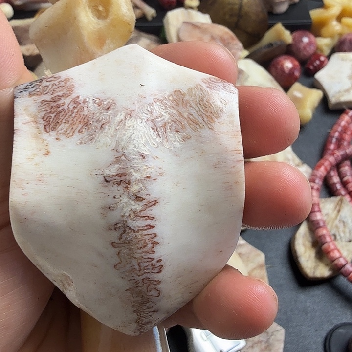 霍***生花岗石铁合金养殖鹿头骨制作