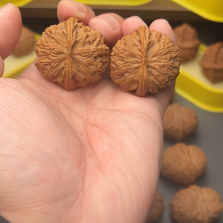 38尺矮桩球体苹果园