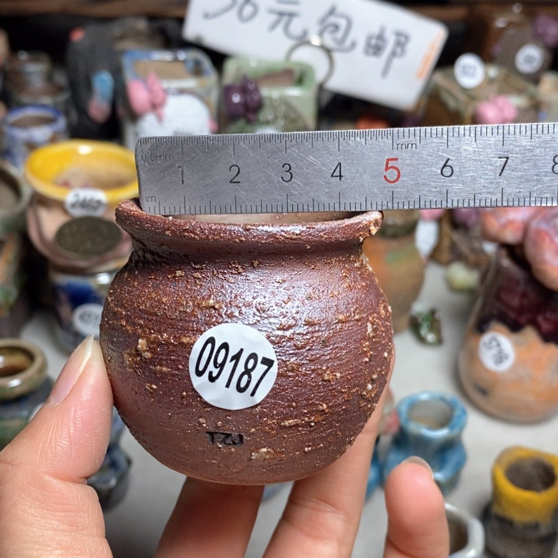 拍5送一个小礼物