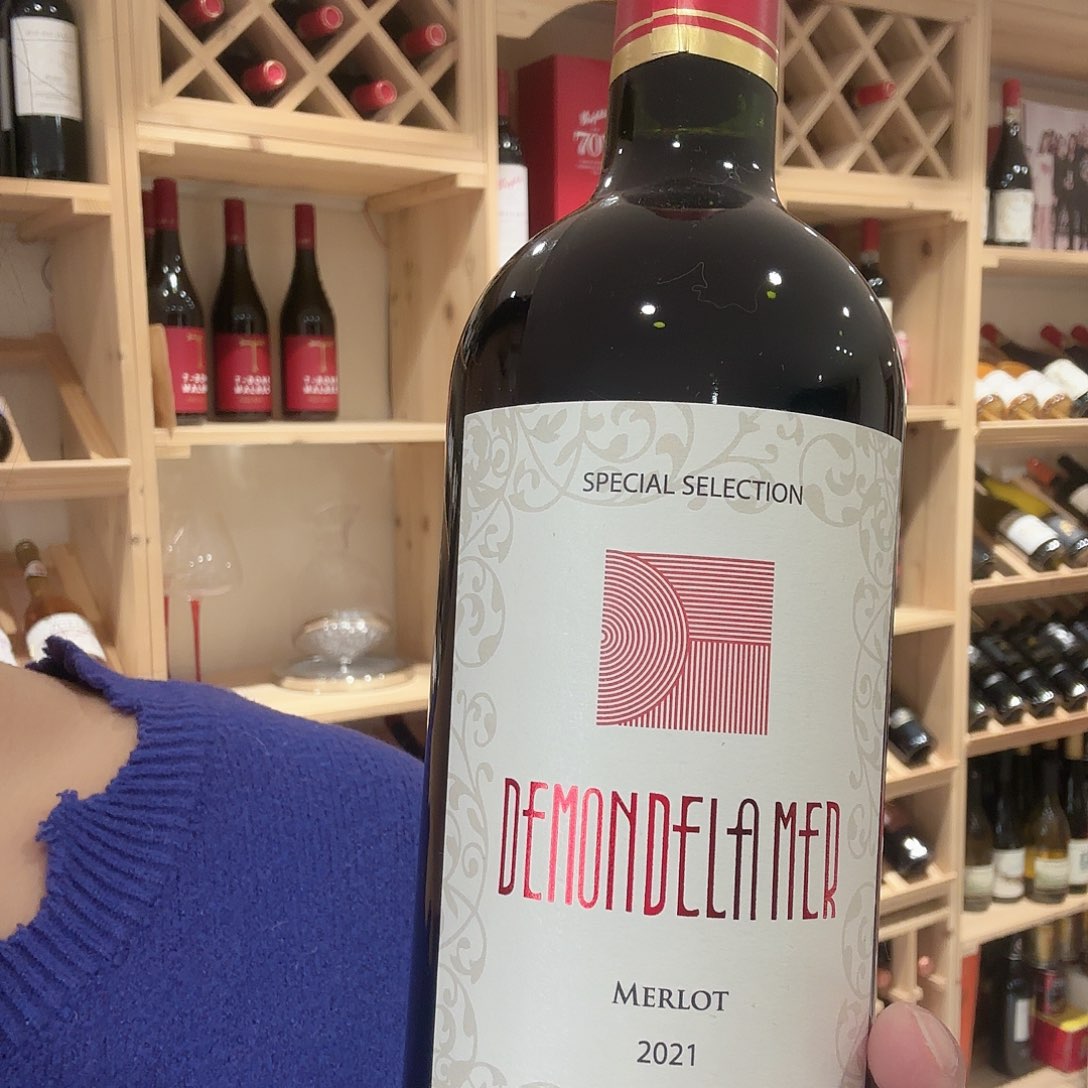 智利美乐干红原装原瓶进口葡萄酒