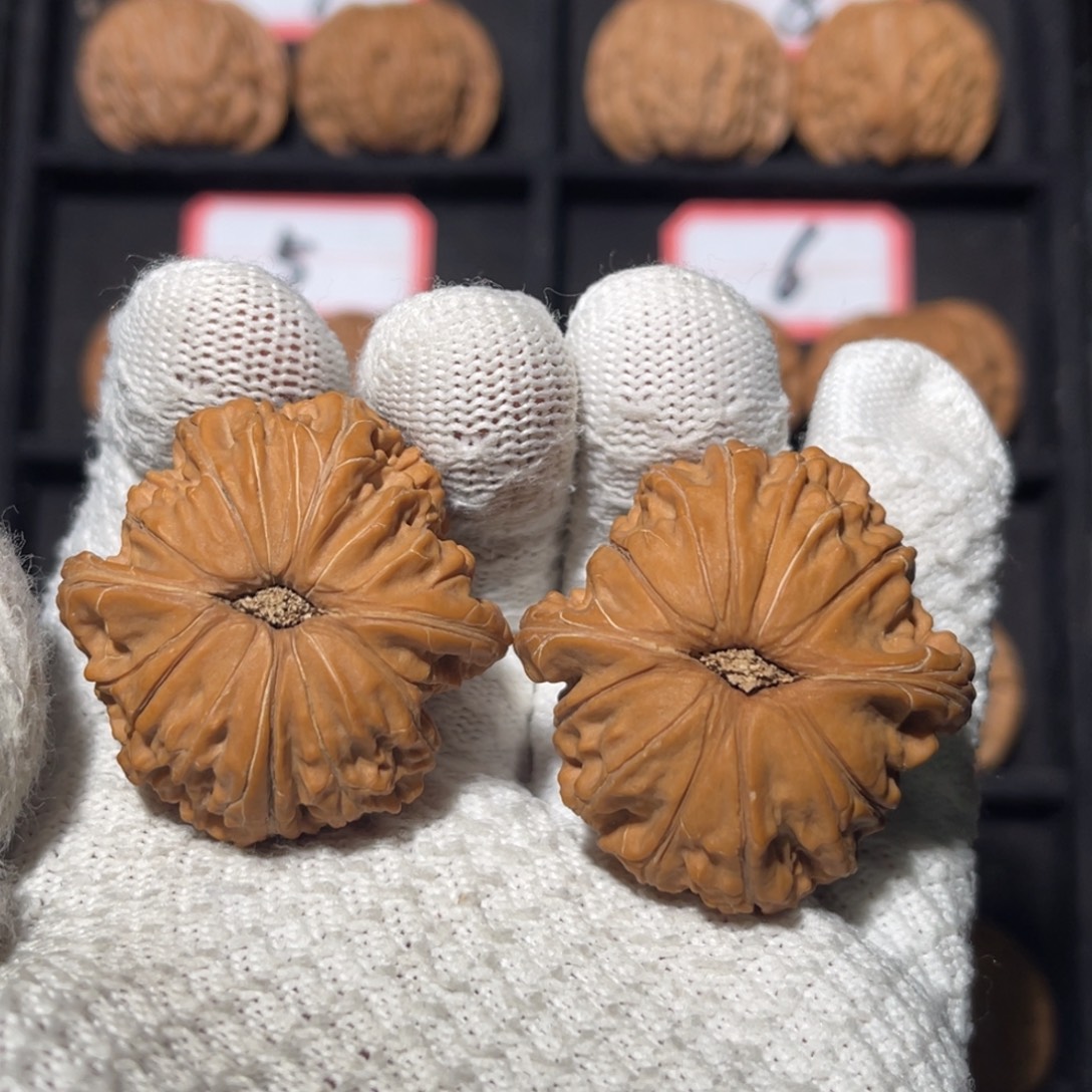 太***龙文玩核桃吊坠06秦皇岛山地果全品