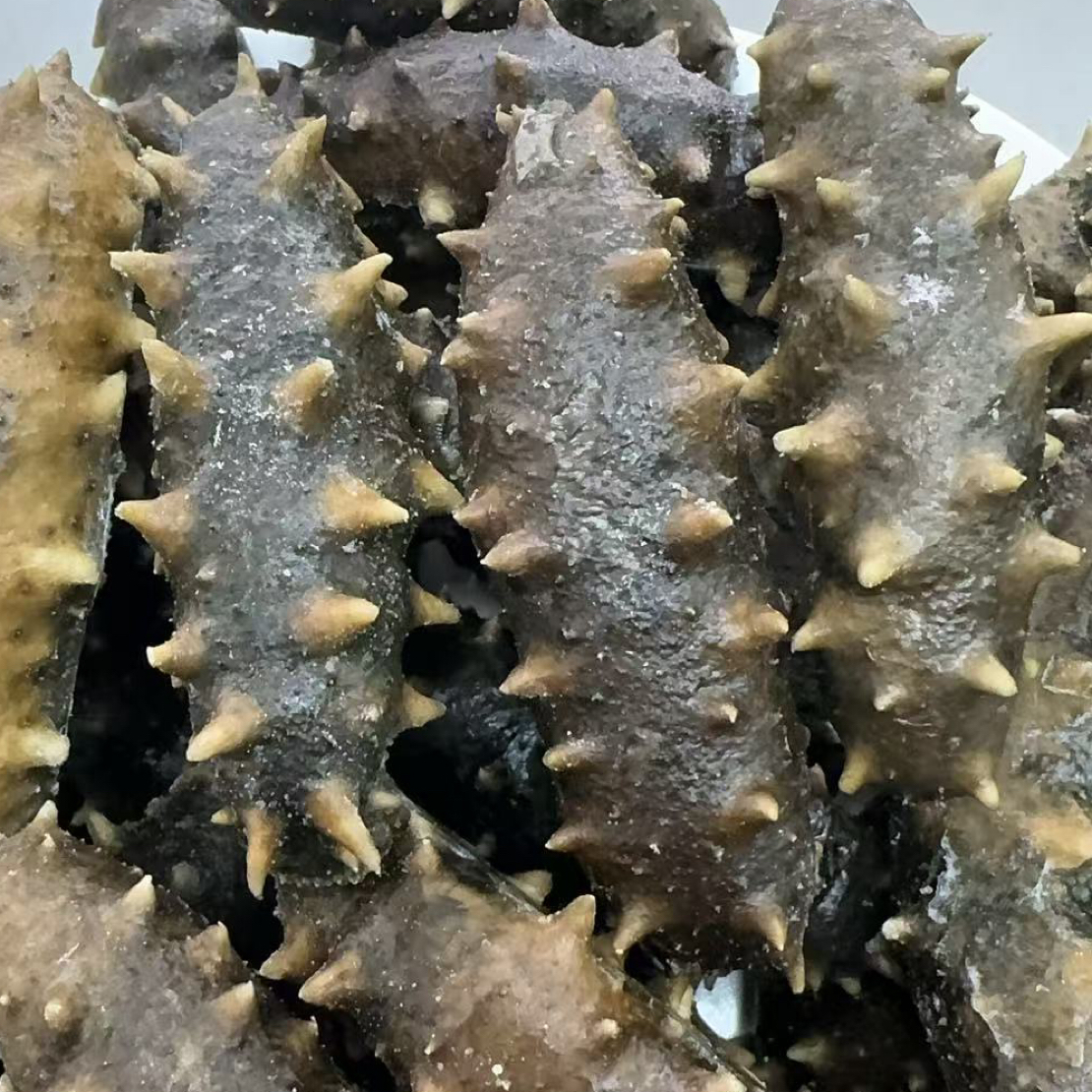 长海县30米深水野生冻煮海参