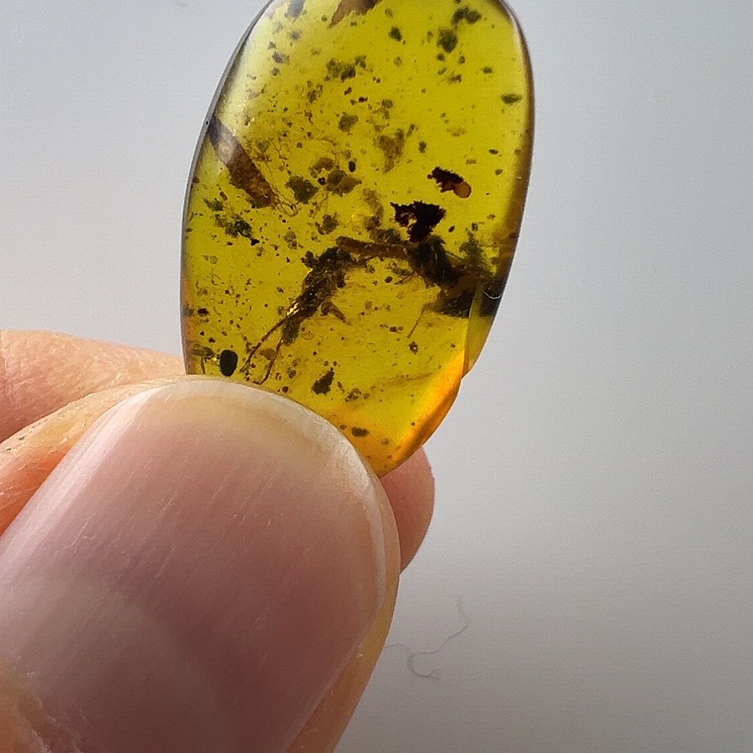 琥珀裸石未镶嵌琥珀虫珀