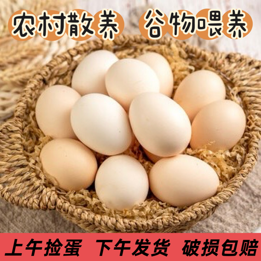 20枚  农村散养土鸡蛋 金色蛋黄 新鲜现发 健康营养 单枚45-50g
