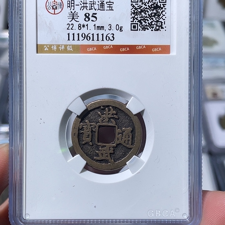铜大宝精选，洪武通宝，评级尾号1163