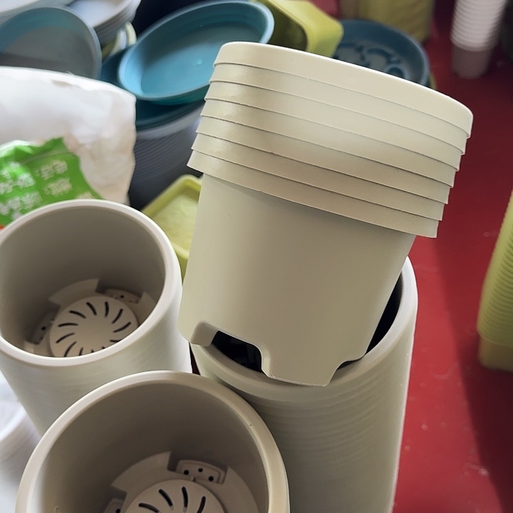 球根17口径10个无托灰白