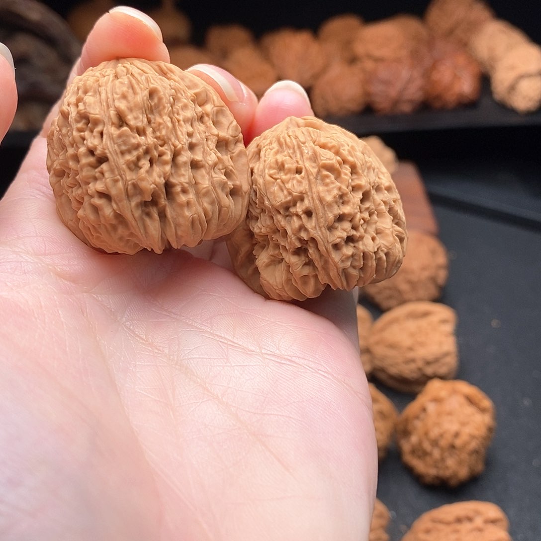 核桃其他35➕瘤疤小丑疆全品