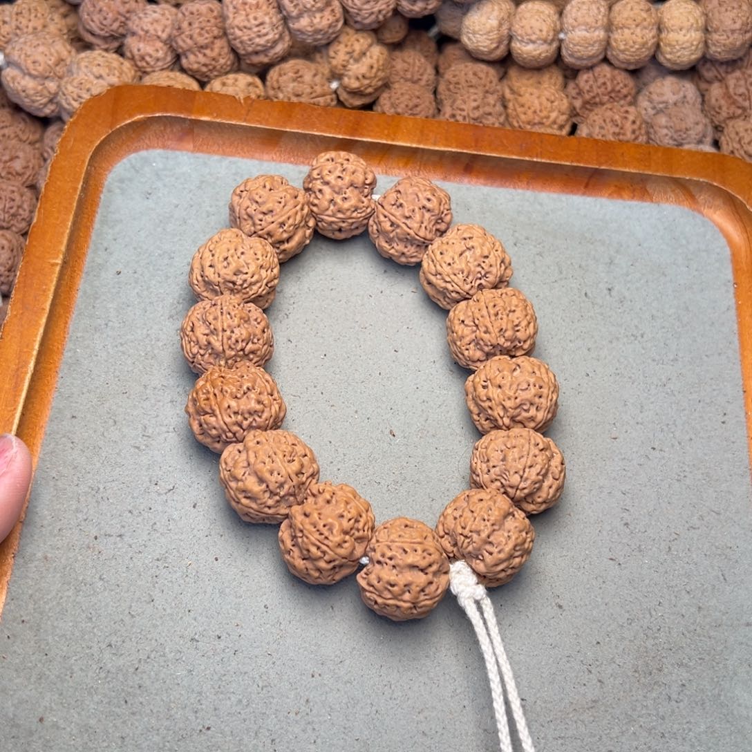 菩提29号金刚菩提满肉梅花23