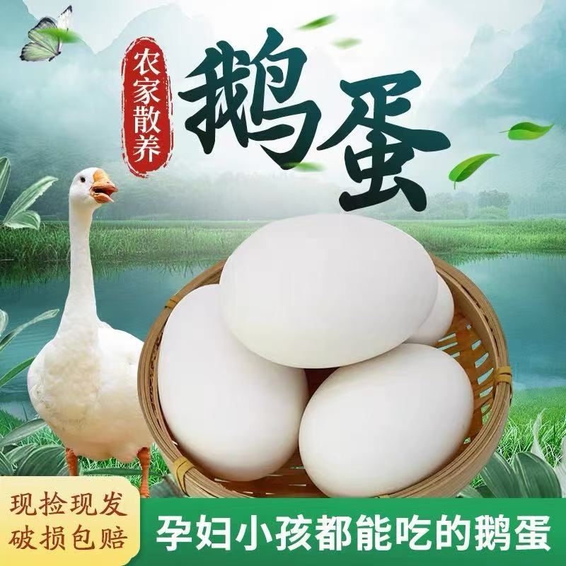 现捡现发农家散养五谷土鹅鲜鹅蛋生态现捡现发