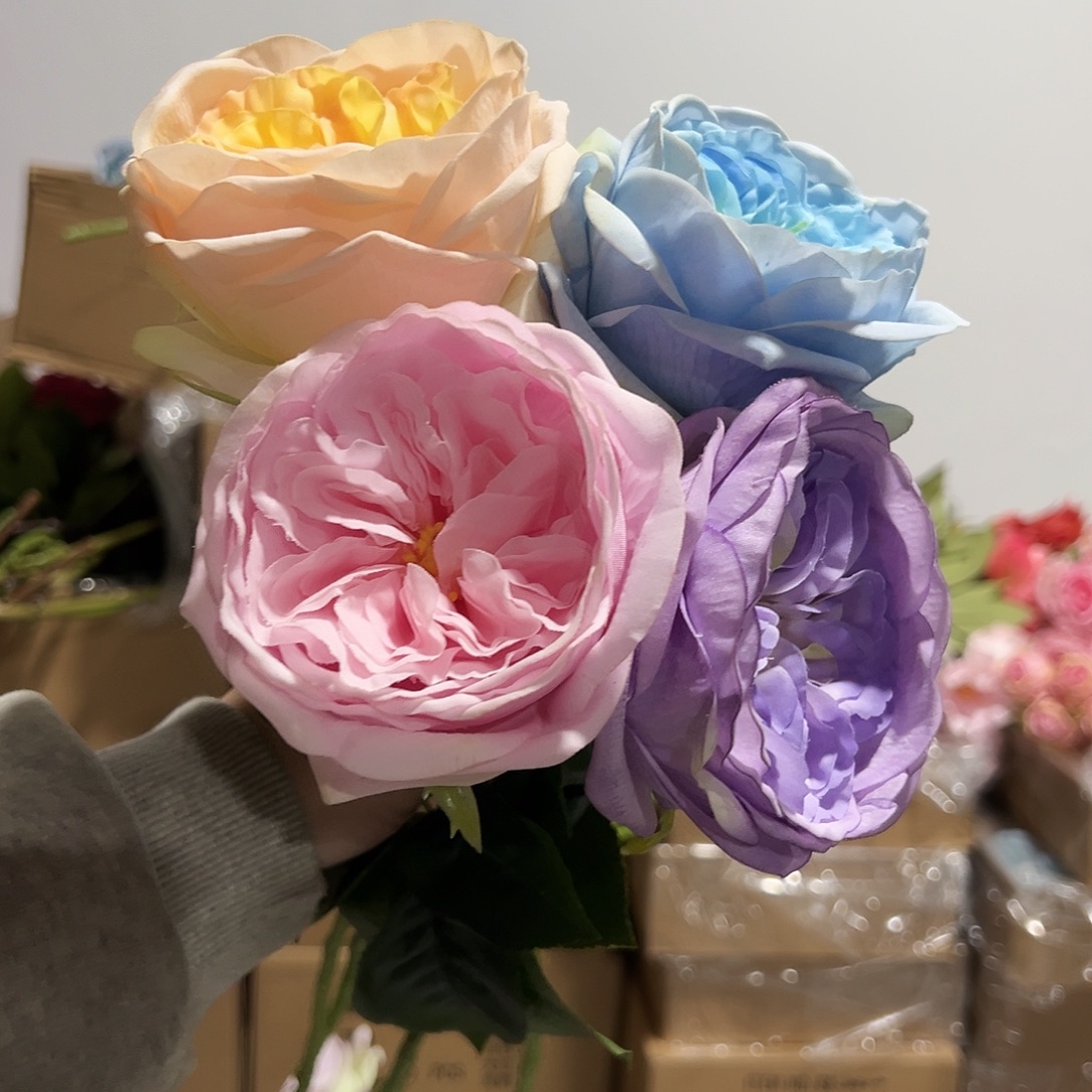 4枝混色手感朱丽叶玫瑰花