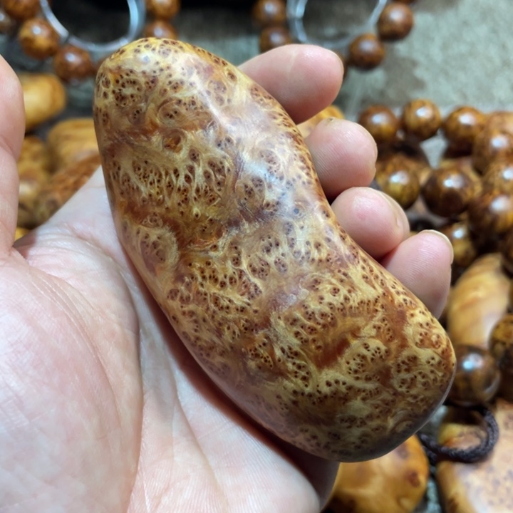 其他柏木（崖柏）把