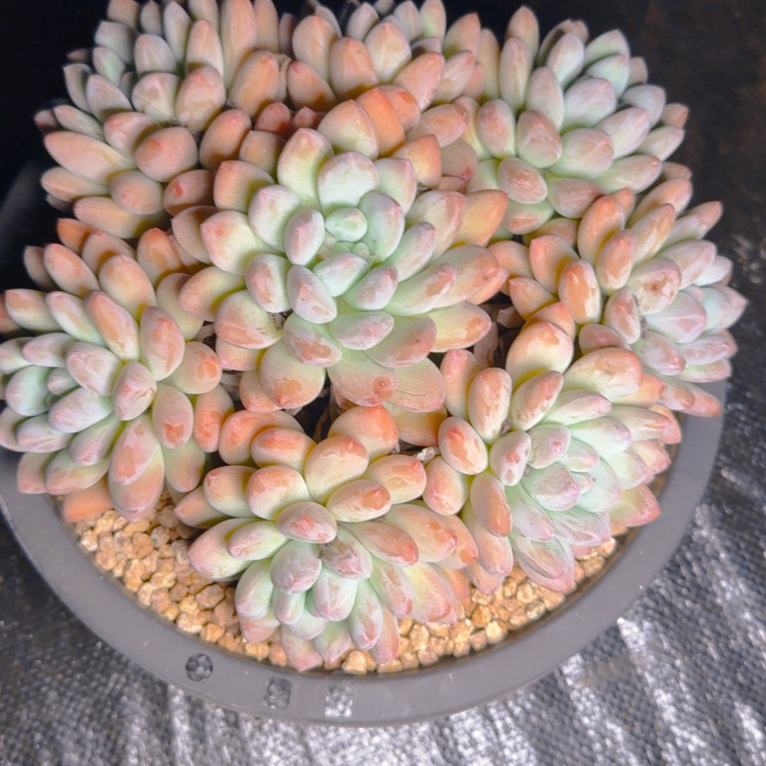 一***获发货111111111111