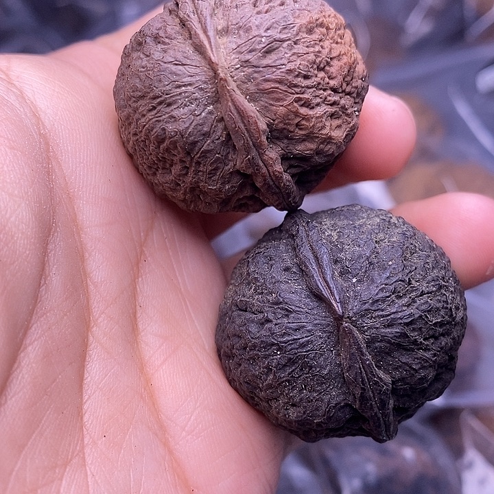 文玩核桃把件   55