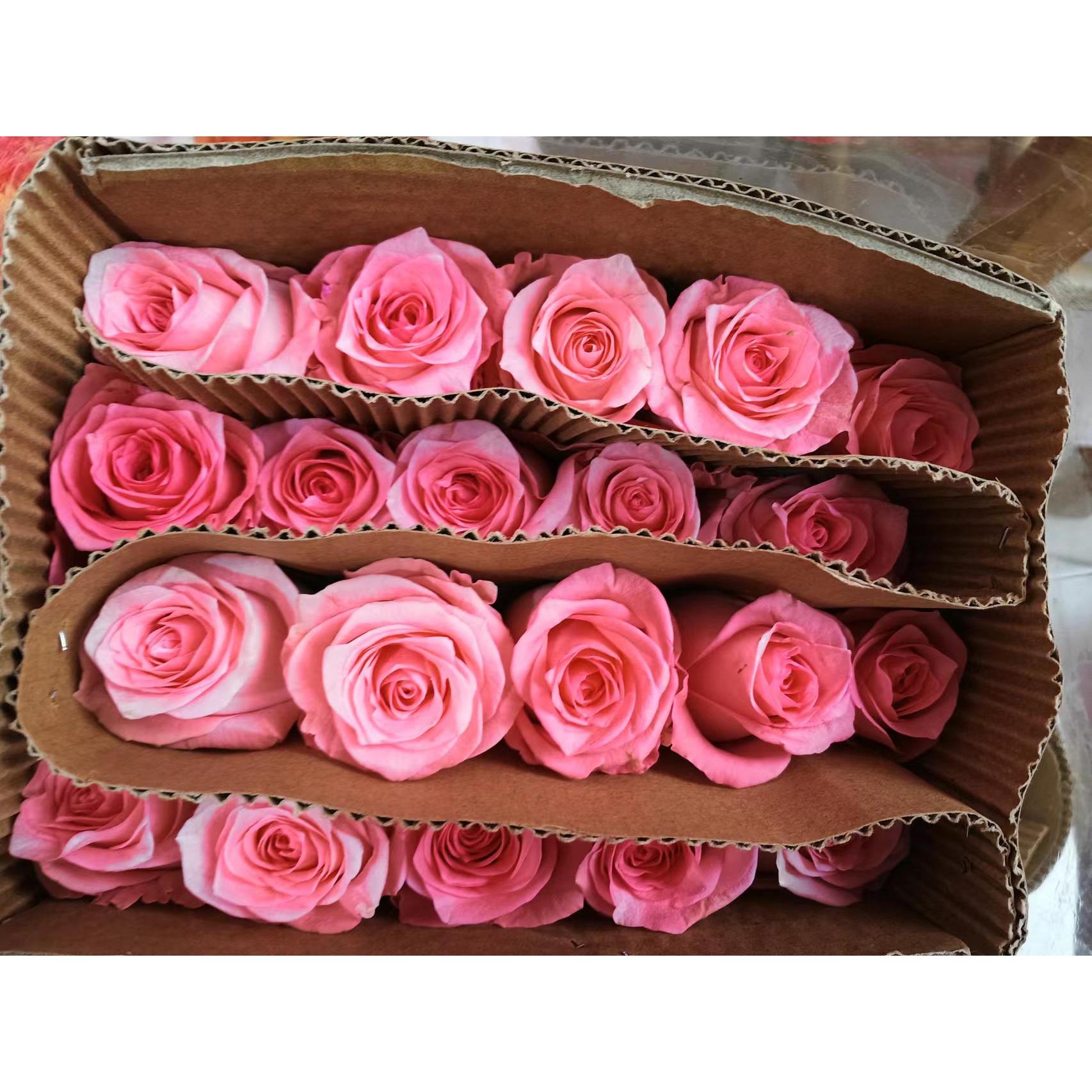 56戴安娜10支+露露公主泡泡3支+小天使康乃馨10支+白色紫罗兰一把