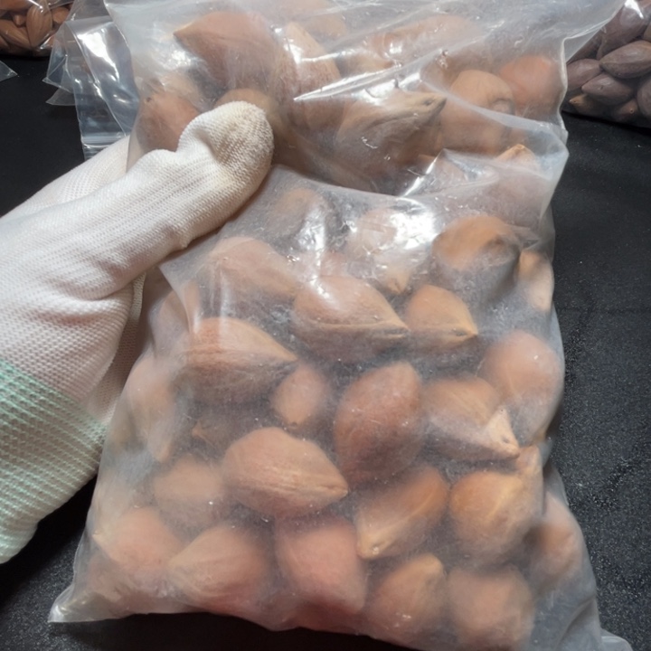 陈***希猪牙手串/手链我是