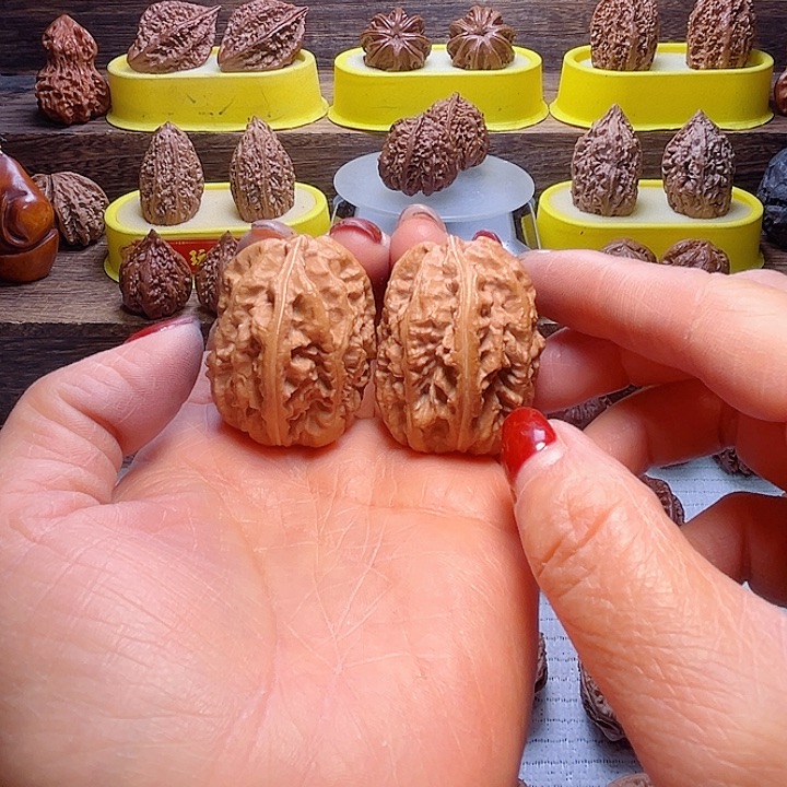 核桃11号车放漏漏