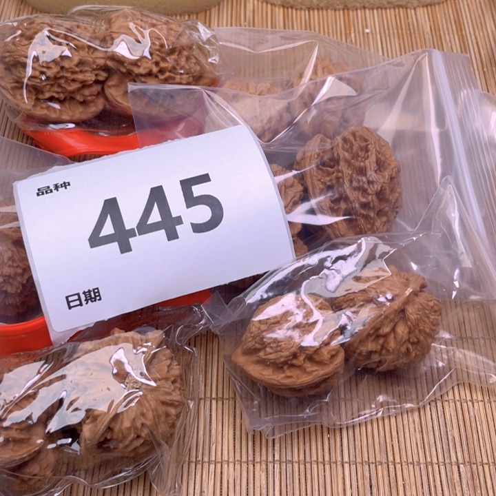 文玩核桃把件445号6对