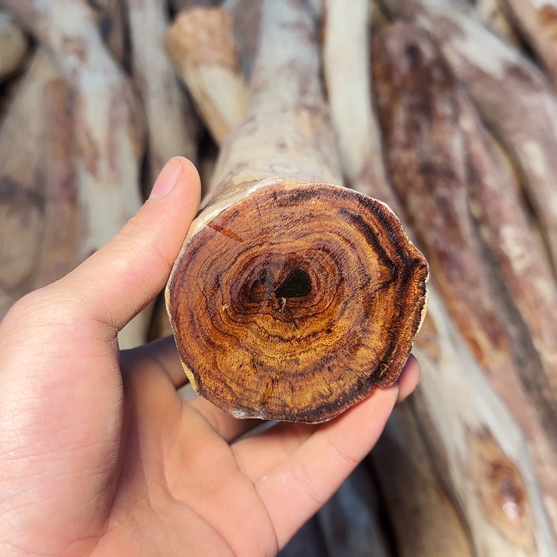 黄花梨/降香黄檀边****！