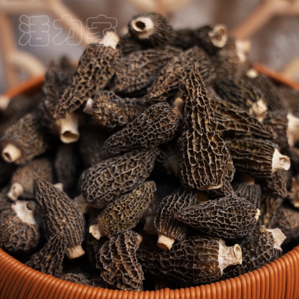 羊肚菌  头茬厚肉短柄食材煲汤干货食用菌佳品