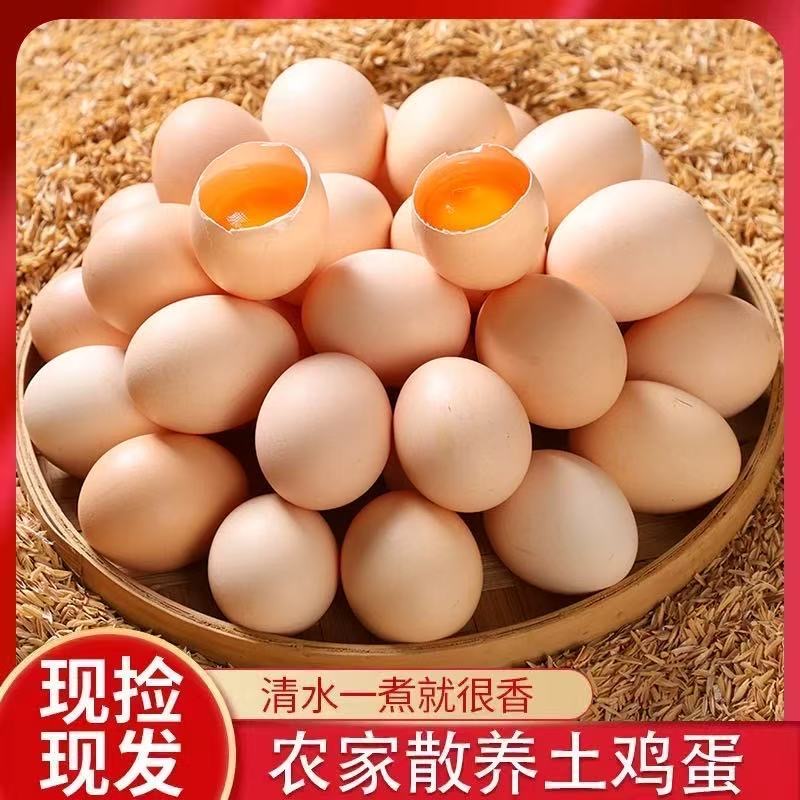 10枚农家散养鸡蛋谷物新鲜土鸡蛋农村黄心初生蛋现捡现发
