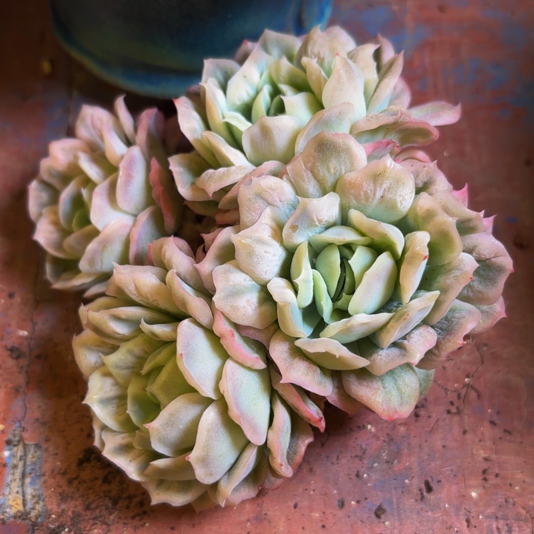 一****⁹哈哈哈哈哈哈哈哈哈