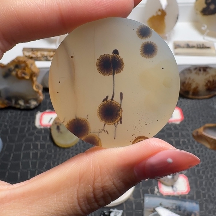 半***岛玛瑙/玉髓未镶嵌珠宝奇石