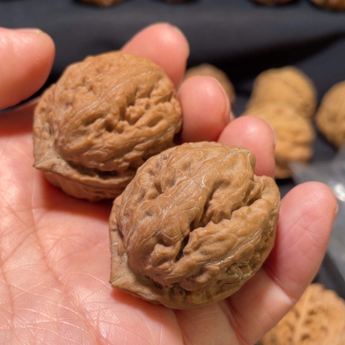 【闪购商品】文玩核桃吊坠爱*东北楸子19