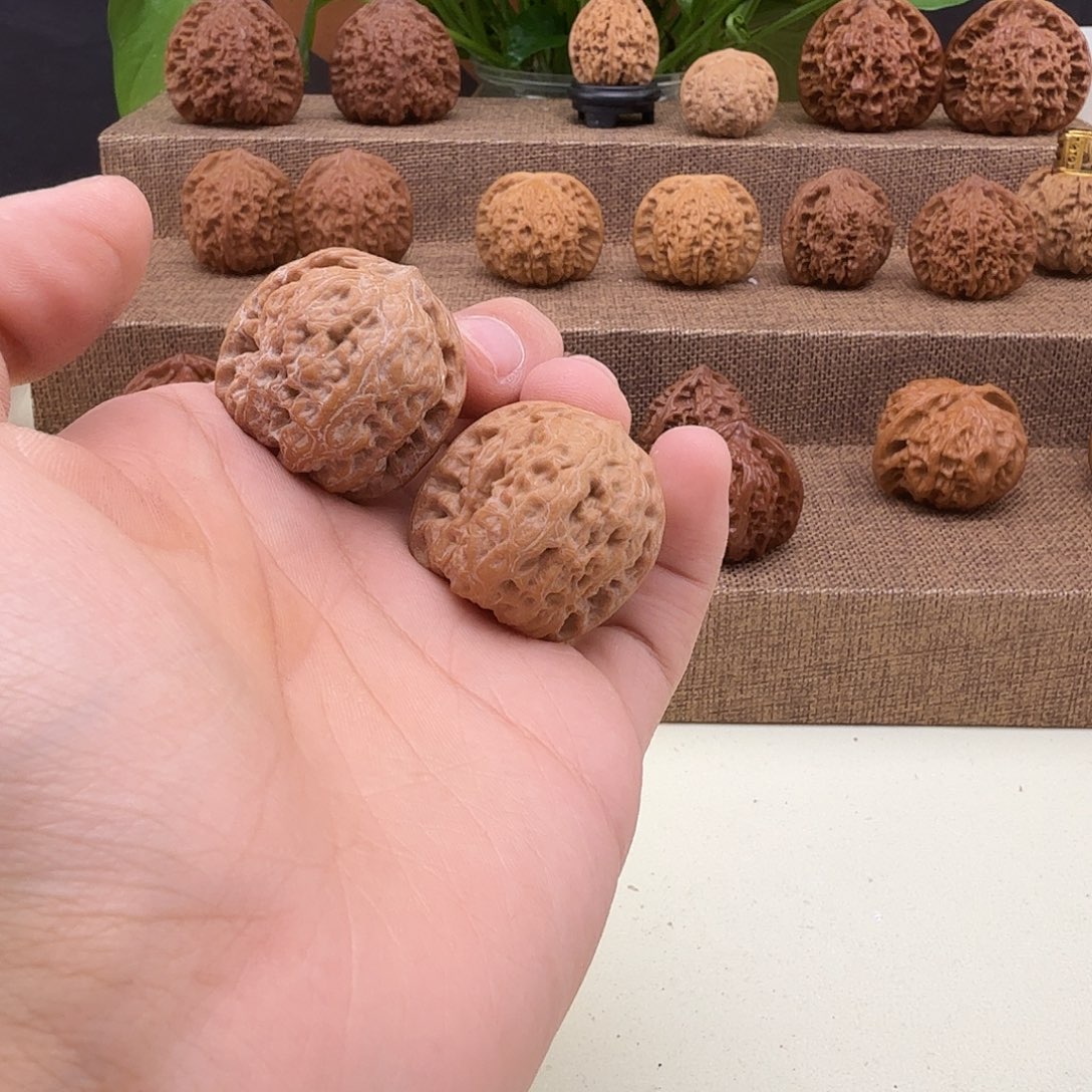 *****野生30尺寸皮质特别好