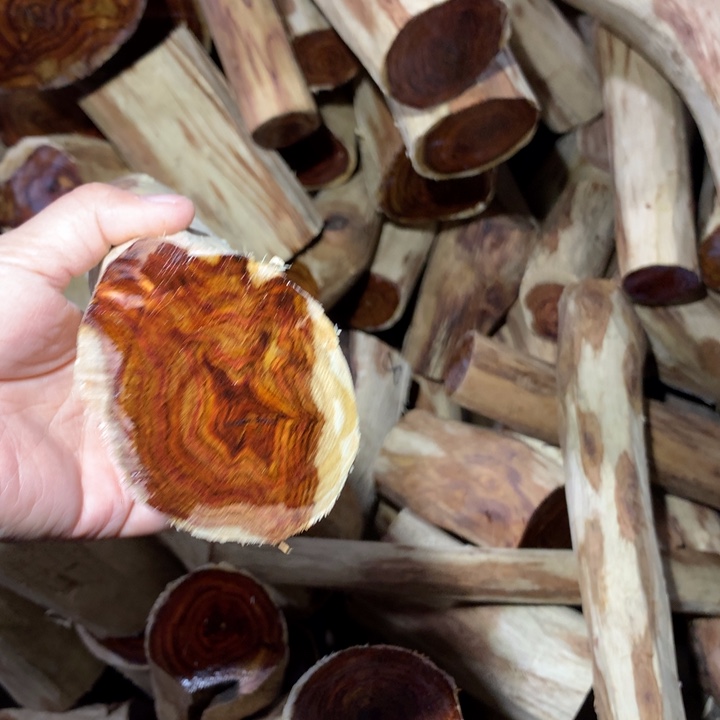 有***川花梨木类海南黄花梨