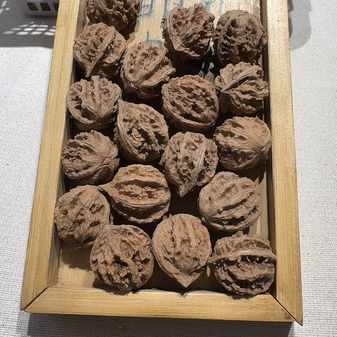 核桃手串/手链32号边26手持