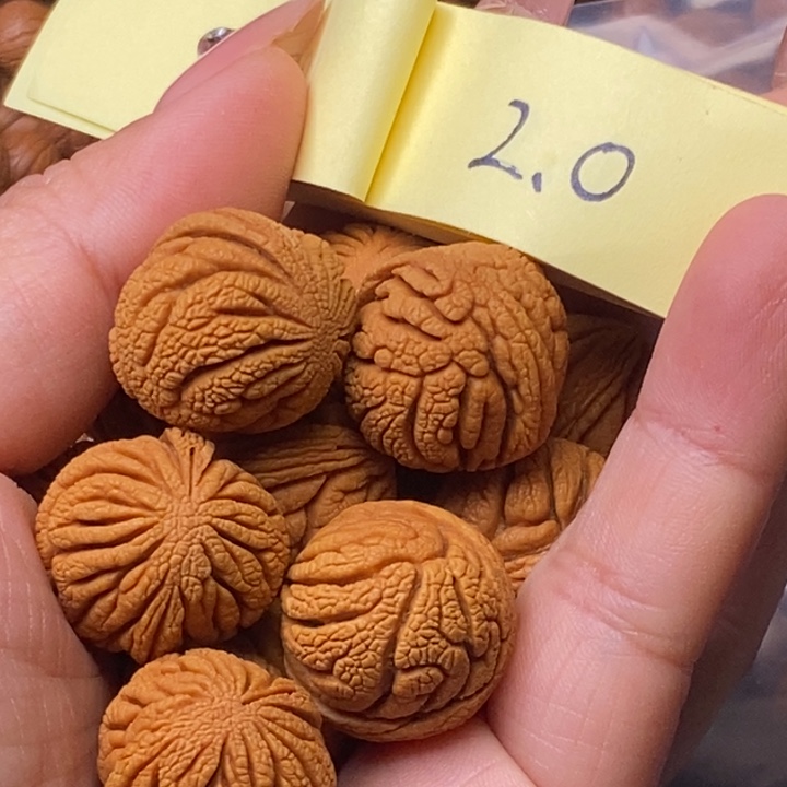秦岭龙纹桃核13颗