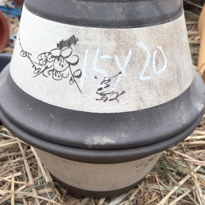 红陶紫砂碗盆口25