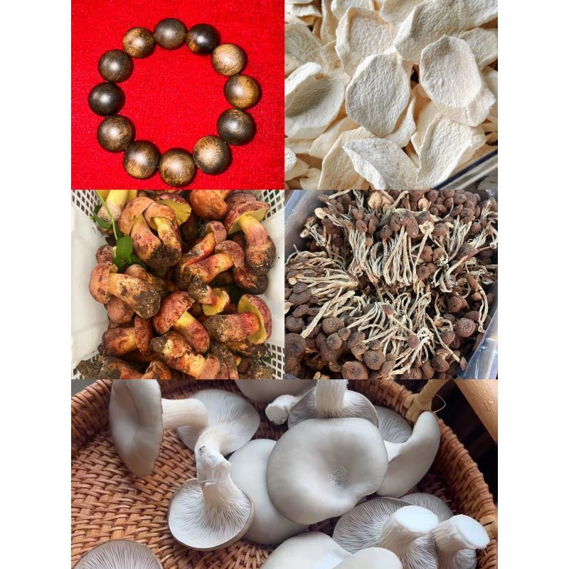 干货【小军专属土特87号ZQ】多样性发货