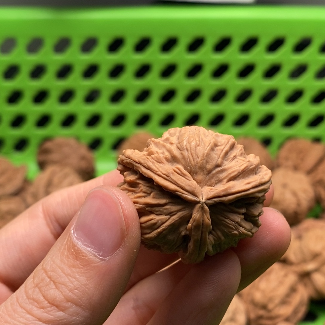 飞***觉核桃定制商品不退不换