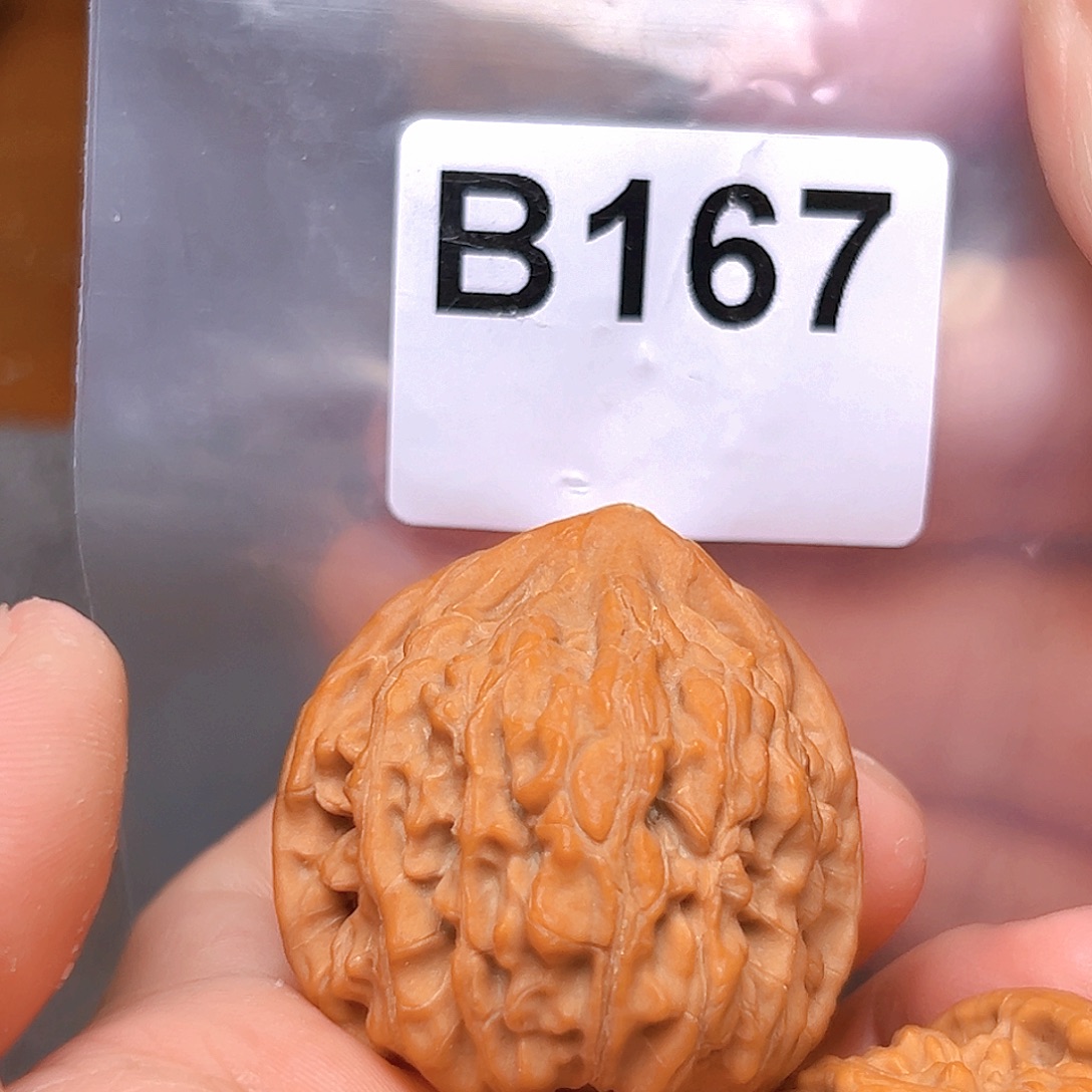 吊坠文玩核桃39御龙粗筋