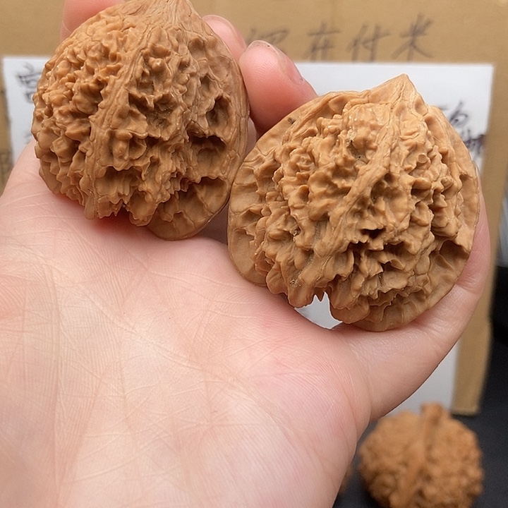 用***4大大大大大大漫天星