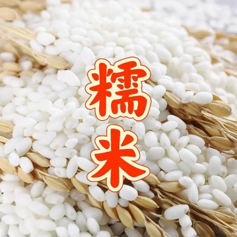 【助农专属】农家糯米250g