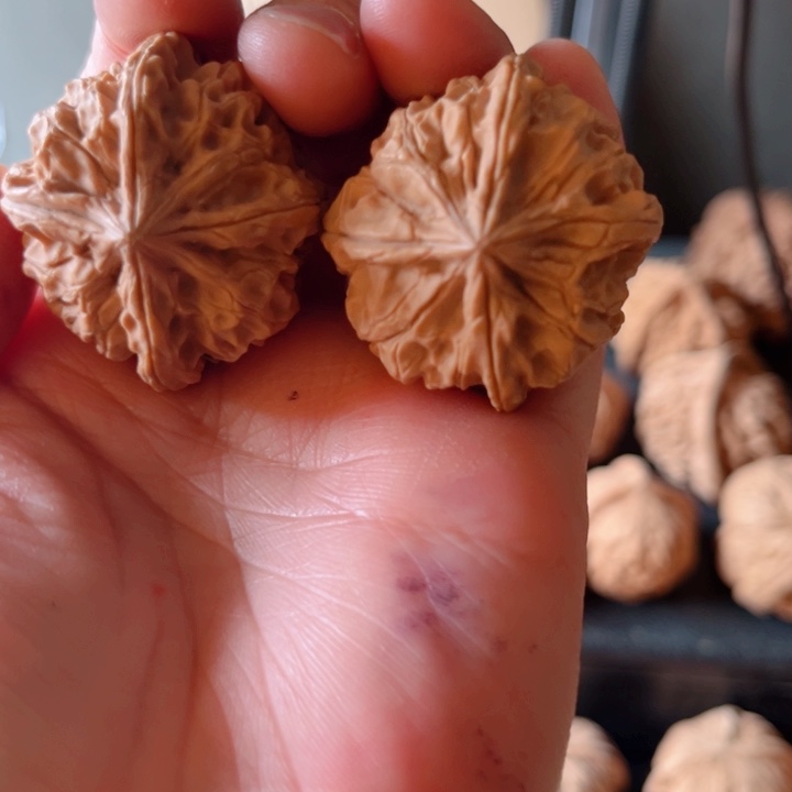 顾***.文玩核桃吊坠文玩