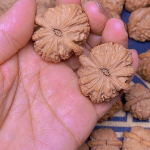 【闪购商品】文玩核桃吊坠敲**鼓白狮子37