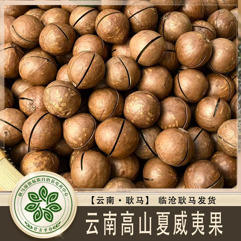 夏威夷果【临沧坚果】新果大颗粒奶香原味澳洲坚果500g规格24-26mm